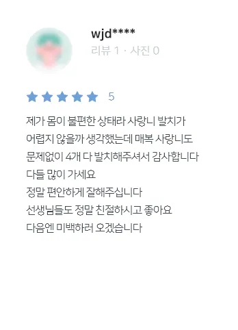 안양치과 정성치과의원 치료후기